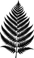 A black and white silhouette of a fern leaf vector