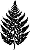 A black and white silhouette of a fern leaf vector