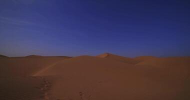 un' panoramico sabbia duna di sahara deserto a mhamid EL ghizlane nel Marocco largo tiro video