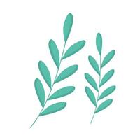 Hand drawn branch with leaves on white background vector