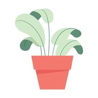 Houseplant icon isolated white background vector