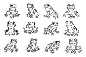 A series of 12 different frogs are shown in various poses vector