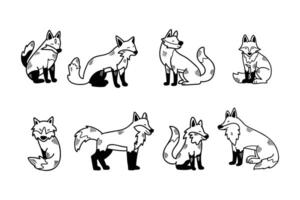 A series of cartoon foxes in various poses vector