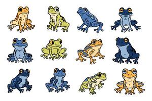 A series of 12 different frogs are shown in various poses vector