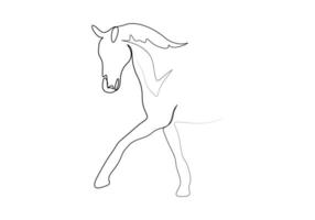 Horse continuous one line drawing of premium illustration vector