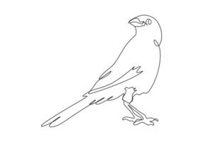 Bird single line drawing digital illustration vector