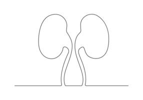 Continuous one line drawing of human kidney digital illustration vector