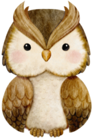 watercolor owl front side png