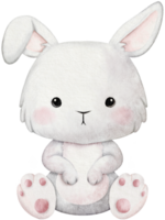watercolor white rabbit sitting png