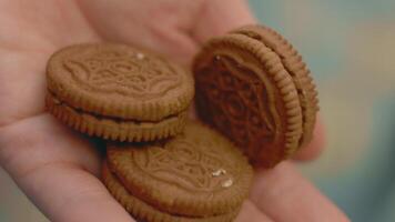 Macro view of a hand holding chocolate biscuits and a small child's hand taking one biscuit. video