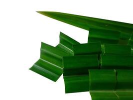 Pandan leaves on a white background photo