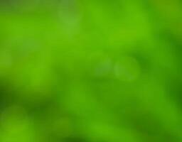 Abstract bokeh out of focus blurred color nature background. photo