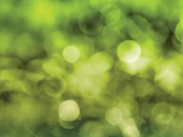 Abstract bokeh out of focus blurred color nature background. photo