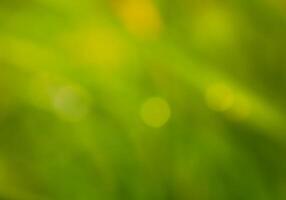 Abstract bokeh out of focus blurred color nature background. photo