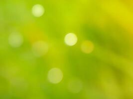 Abstract bokeh out of focus blurred color nature background. photo