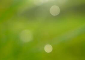 Abstract bokeh out of focus blurred color nature background. photo