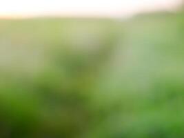 Abstract bokeh out of focus blurred color nature background. photo