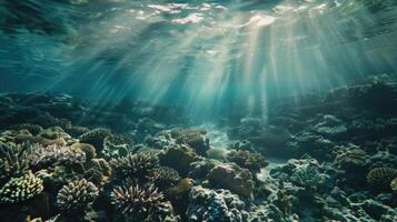 Sea deep or ocean underwater with coral reef as a background photo