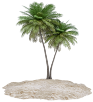 sandig Insel und Kokosnuss Palme Baum isoliert auf Hintergrund. Stück von runden Strand mit Sand zum Urlaub, reisen, Sommer, Freizeit und genießen. Sommer- Strand Ferien Szene Konzept. 3d Rendern png