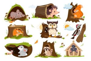 Set of forest animals sleep or hibernate in tree hole houses. Woodland burrows with cute fox, squirrel, owl, raccoon, hare and hedgehog. Woodpecker on a branch with hollow flat illustration. vector