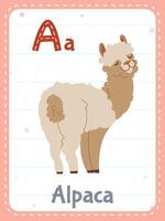 alfabeto imprimible tarjeta de memoria flash con letra una. dibujos animados linda alpaca animal imagen y Inglés palabra en destello tarjeta para niños educación. colegio memoria tarjetas para jardín de infancia niños plano ilustración vector