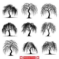 Sylvan Elegance Willow Tree Collection for Timeless Natural Artistry vector