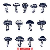 Ethereal Enchantment Graceful Mushroom Collection for Artistic Explorations vector