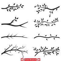 Forest Whispers Serene Tree Branch Collection vector