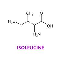 Isoleucine amino acid chemical molecules, formula vector