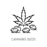 Cannabis seeds line icon, marijuana symbol vector