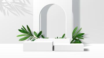 3d white podium stage with green olive leaves vector