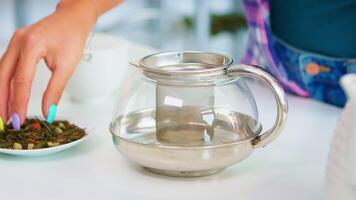 ung lady brådskande grön te löv i tekanna. stänga upp av kvinna framställning te i de morgon, för frukost, i en modern kök Sammanträde nära de tabell. sätta med händer, friska ört- i pott. video