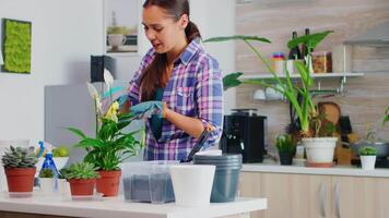 alegre mulher levando Cuidado do a flores às casa dentro acolhedor cozinha. usando fértil solo com pá para dentro Panela, branco cerâmico vaso de flores e plantas preparado para replantio para casa decoração carinhoso eles video