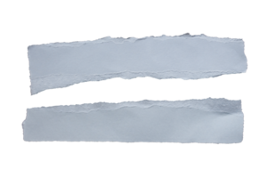 Two piece of ripped gray paper on transparent background png