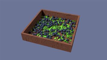3D blueberry animation. Blueberry with leaves animation. Fruit and healthy food concept. 4K seamless loop footage video