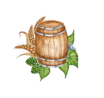Watercolor illustration of a wooden barrel with hops, ears of wheat for beer and other alcoholic drinks. Isolated from the background. Suitable for interior design, menus, product packaging. png
