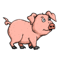 ilustração de porco png