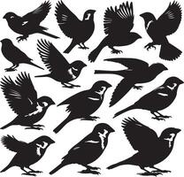 Set of sharp and realistic black sparrow bird silhouettes vector