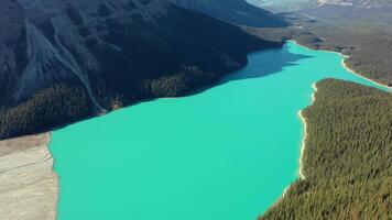 antenne visie van de ongelooflijk peyto meer. video