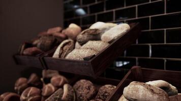 sortido bandejas preenchidas com diferente tipos do pão video