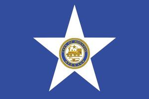 bandera de houston estado, unido estados vector