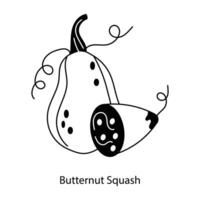 Trendy Butternut Squash vector