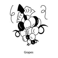 Trendy Grapes Concepts vector