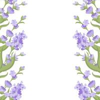 Decorative frame of lavender flowers for your design. illustration isolated on white background. vector