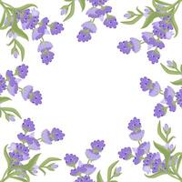 Decorative frame of lavender flowers for your design. illustration isolated on white background. vector