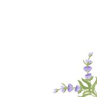 Decorative frame of lavender flowers for your design. illustration isolated on white background. vector