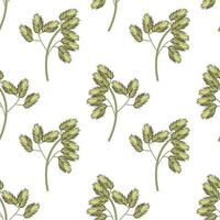 Set of wild field grass tops. Detailed illustration isolated on white background. vector