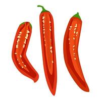 Set of red Mexican chili peppers cut in half vector