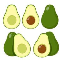 Set of cut and whole avocados vector