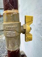 Yellow Fire Hydrant Beside Wall photo